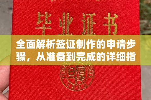 新林全面解析签证制作的申请步骤，从准备到完成的详细指南